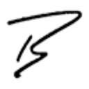 Bodo Schäfer logo
