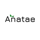 Anatae logo