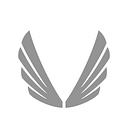 ASRV Sportswear logo