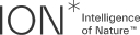 ION logo