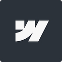 The Laundry Gurus logo