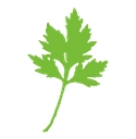 Try wellnee logo
