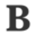 Blivo logo