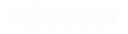 Criquet Shirts logo