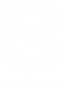 She’s Waisted logo