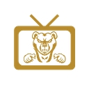 Bear Competitions logo