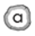 Ayla and Co logo