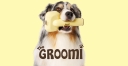 The Groomi logo