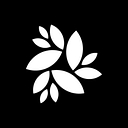 Dr. Dayan Siebra logo